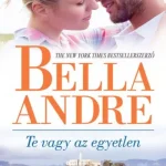 A Sullivan család 7. - Te vagy az egyetlen - Bella André Biztonságos fizetés