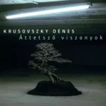 Áttetsző viszonyok - Krusovszky Dénes Outlet