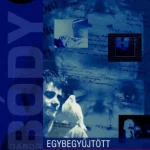 Alacsony ár Egybegyűjtött filmművészeti írások 3. - Bódy Gábor