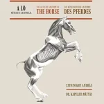 A ló művészeti anatómiája (magyar-angol-német nyelvű) - Szunyoghy András Bestseller