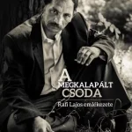 Azonnal elérhető A megkalapált csoda - Rafi Lajos emlékezete