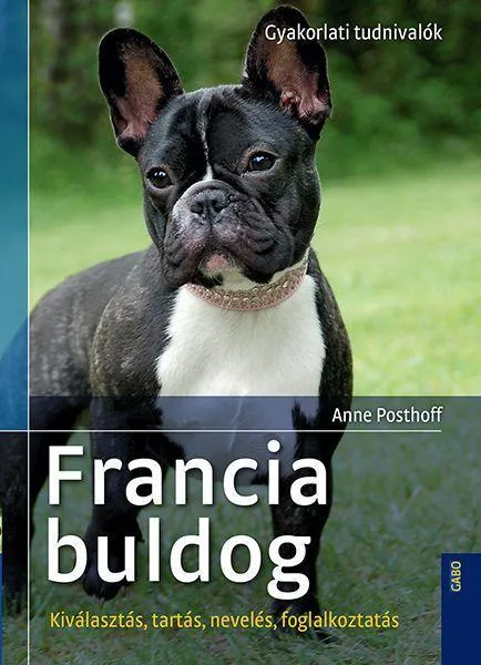 FRANCIA BULLDOG - KIVÁLASZTÁS, TARTÁS, NEVELÉS, FOGLALKOZTATÁS Utolsó esély