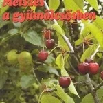 Csak ma METSZÉS A GYÜMÖLCSÖSBEN - FŰZÖTT!