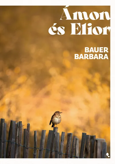 Ámon és Elior Újdonság