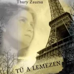 Azonnal elérhető Tű a lemezen - E-könyv