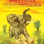 Akciós ár Afrikai nyomozás - E-könyv
