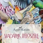 Madarak ítélőszéke - E-könyv Csak ma
