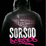 Újdonság Sorsod Borsod - E-könyv