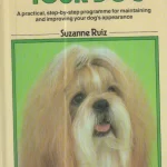 Árcsökkenés A Dog Owner's Guide to Grooming Your Dog