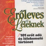 Gyors szállítás Erőleves a léleknek - 2. porció
