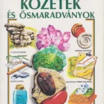 Kőzetek és ősmaradványok Akció